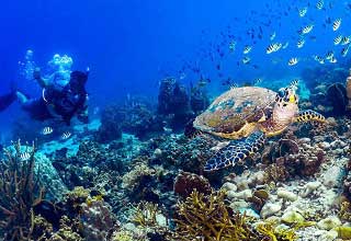 Plongée sous marine