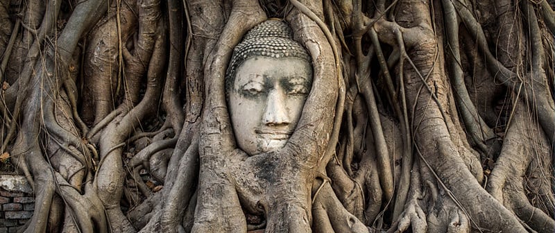 Guide de Ayutthaya et Sukhothai - fameuse tête de Bouddha dans les racines d'un arbre sacré