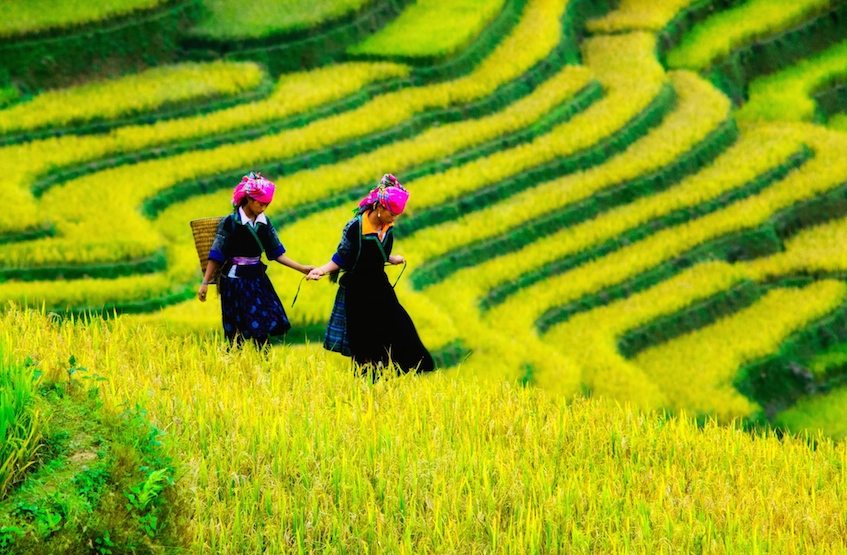 Que faire à Sapa Que faire à Sapa